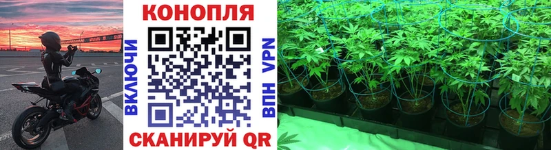 купить наркотик  Брюховецкая  omg ССЫЛКА  Бошки Шишки THC 21% 
